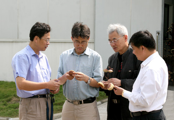 赏金船长(中国游)官方网站