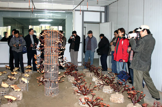 赏金船长(中国游)官方网站 赏金船长(中国游)官方网站