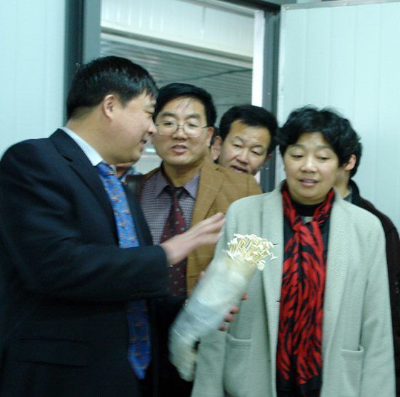 赏金船长(中国游)官方网站 赏金船长(中国游)官方网站
