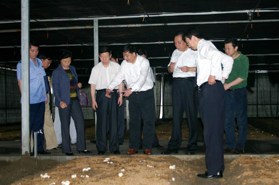 赏金船长(中国游)官方网站