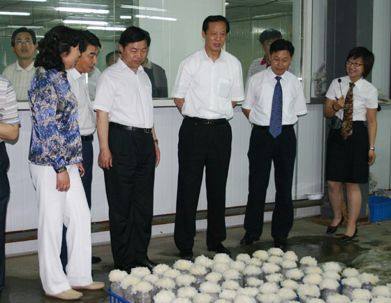赏金船长(中国游)官方网站 赏金船长(中国游)官方网站