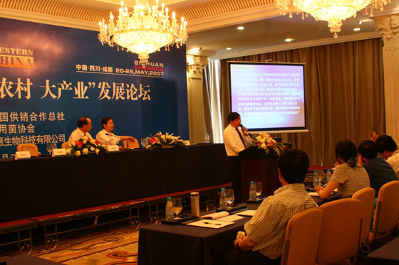 赏金船长(中国游)官方网站