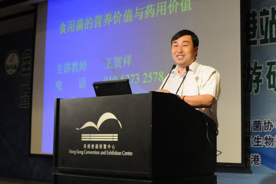 赏金船长(中国游)官方网站